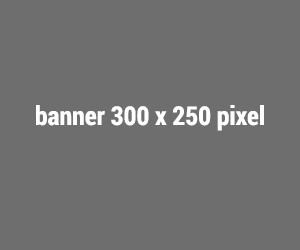 banner-300x250
