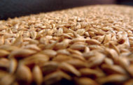 Come produrre una “farina innovativa”