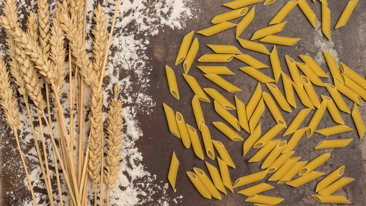 La qualità del grano duro strumento per produrre una pasta “italiana”