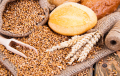 PanWheatGrain, il progetto di Unibo che mira al “pangenoma” del frumento