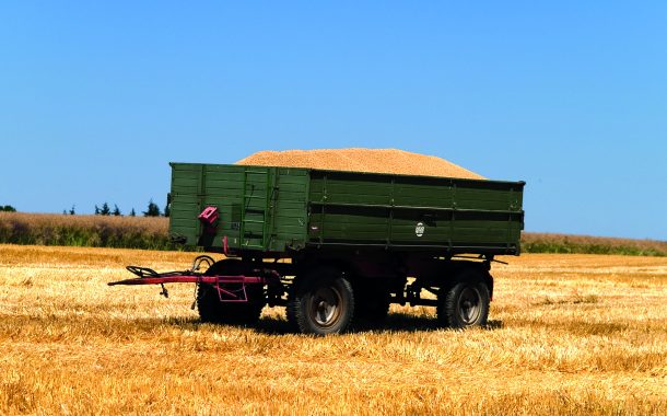 Raccolto grano: qualità da valutare