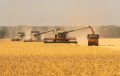 Il grano importato è salubre: lo attestano i controlli ufficiali