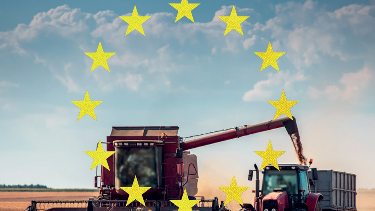 Le lacune legislative sulla circolazione degli alimenti