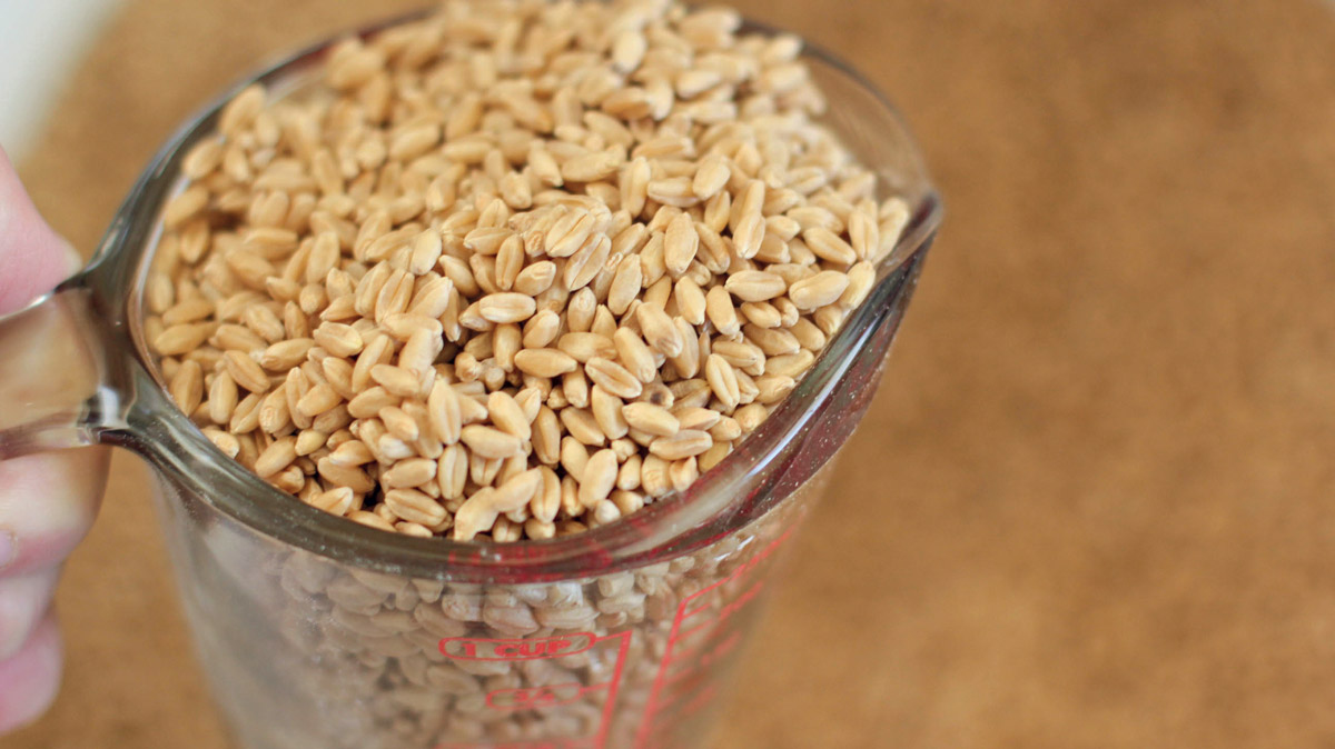 Grano tenero: le varietà iscritte al Registro Varietale nel 2019