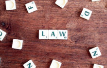 Alimenti per adulti e bambini