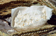 <em>Escherichia coli</em> Ehec: un pericolo emergente nelle farine