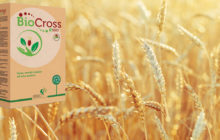 BIOCROSS® SEED dalla parte del buon grano