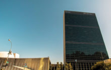 Il futuro dell’agricoltura e dell’alimentazione