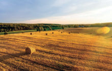 L’assessore all’agricoltura dell’Emilia Romagna Alessio Mammi illustra le scelte della Regione