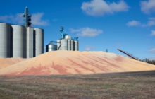 Nuove opportunità per il settore dello stoccaggio