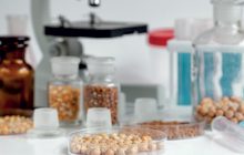 Controperizia e controversia