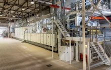 Fava: oltre 80 anni di successi in tutto il mondo