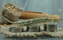 Materie prime: una situazione congiunturale o strutturale?