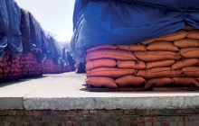 La persistente incertezza dei mercati cerealicoli