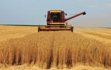 Idrocarburi aromatici degli oli minerali (MOAH): evoluzione dei lavori a livello europeo e posizione di FoodDrinkEurope e delle Associazioni europee