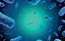 La gestione giuridica della Listeria negli alimenti