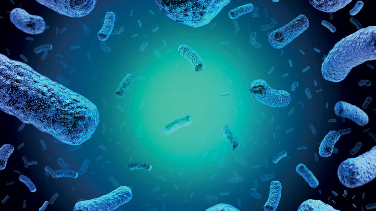 La gestione giuridica della Listeria negli alimenti