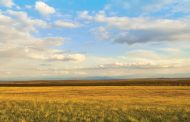 Grano: la geografia prevale sulla storia?