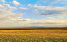 Grano: la geografia prevale sulla storia?
