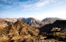 Varietà Jabal: incrocio tra frumento commerciale e selvatico