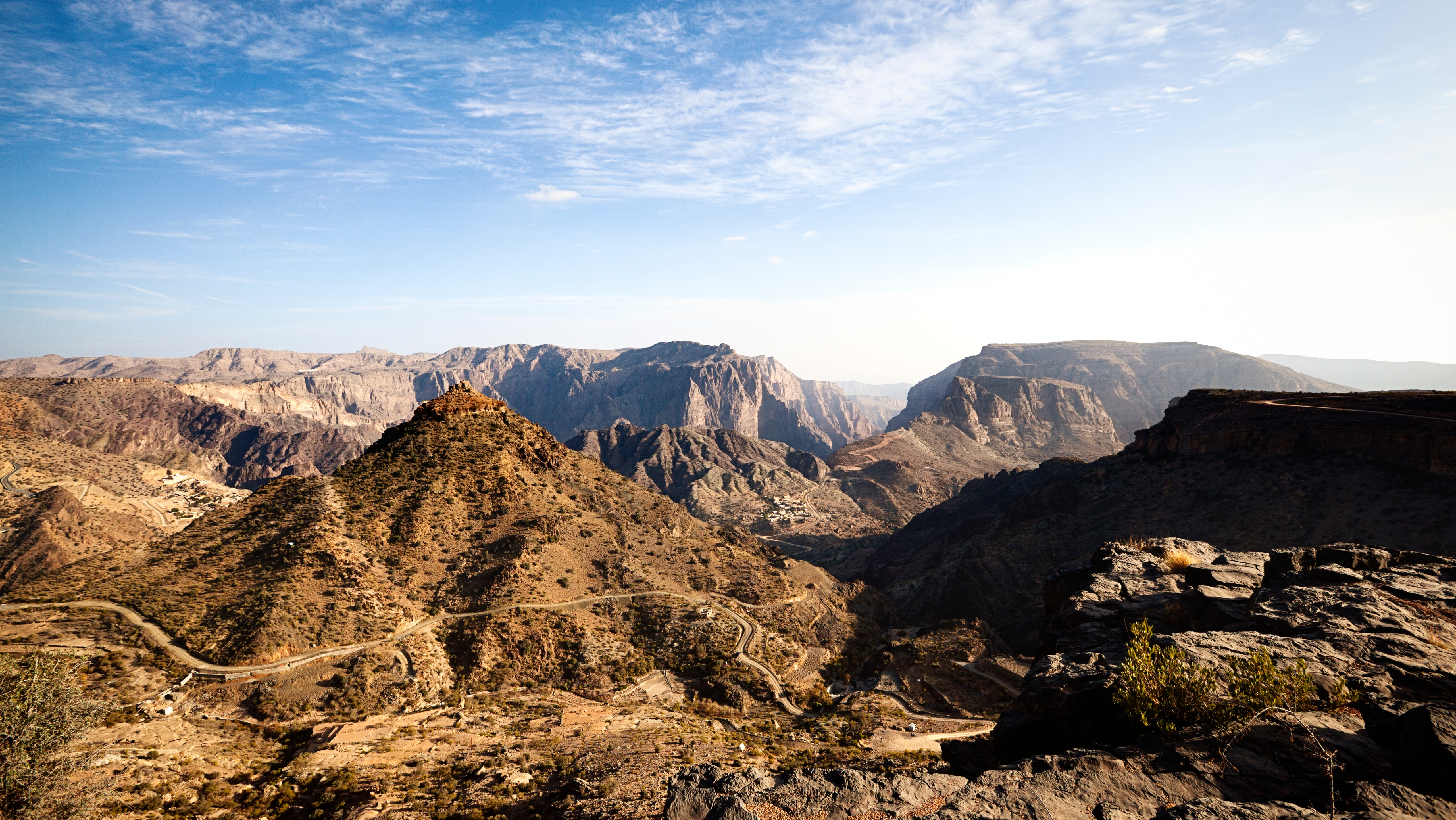 Varietà Jabal: incrocio tra frumento commerciale e selvatico