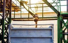 Ancora un successo per la giornata 