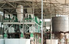 Molini, efficientare per risparmiare