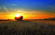 Una nuova federazione in rappresentanza dell’industria italiana della prima trasformazione alimentare