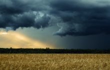 Nuovi scenari a tutela delle nostre agricolture