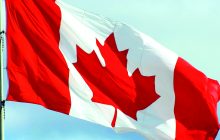 Canada, aumento delle piantagioni di grano