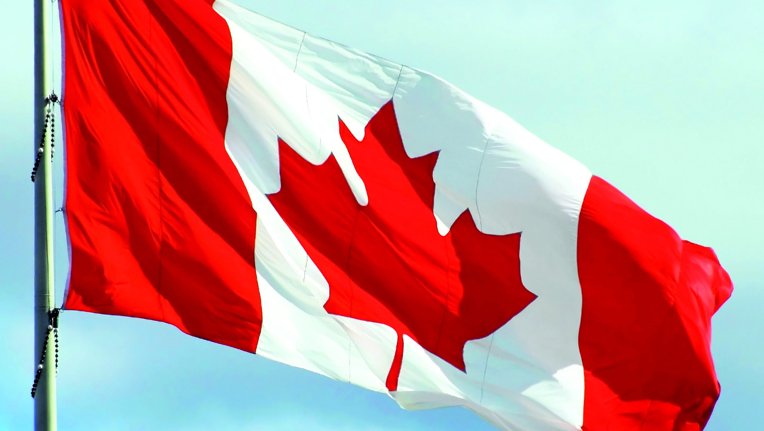Canada, aumento delle piantagioni di grano