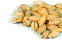 Al via piano nazionale delle sementi biologiche