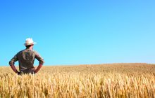 Lollobrigida apre a Cun, granaio Italia e registro telematico