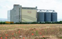 Una semola integrale, completa di germe, capace di coniugare gusto e salute