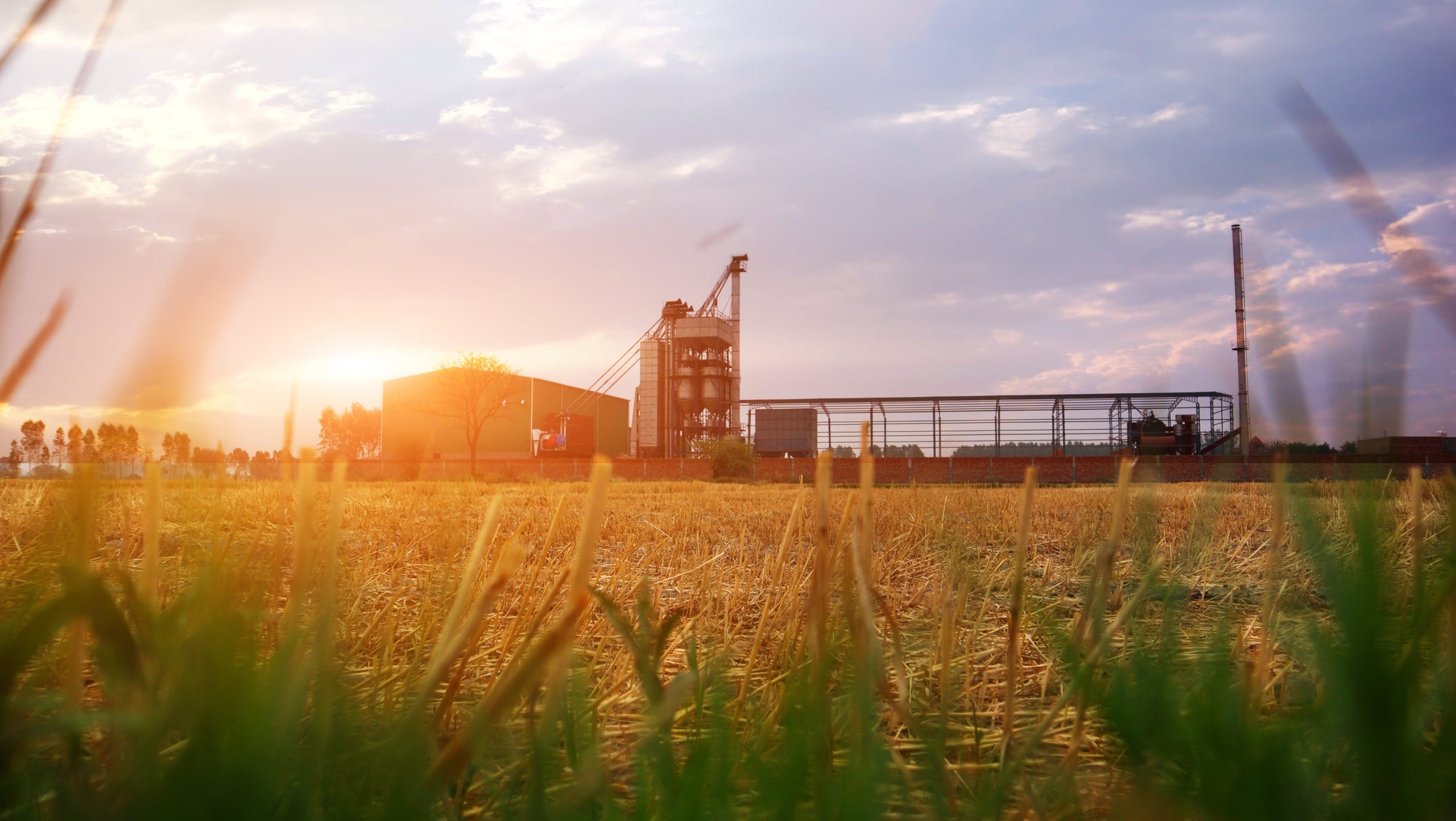 Spunti legislativi e pratici nell’ecosostenibilità