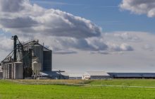 2023 anno complesso, ma il molitorio si è difeso