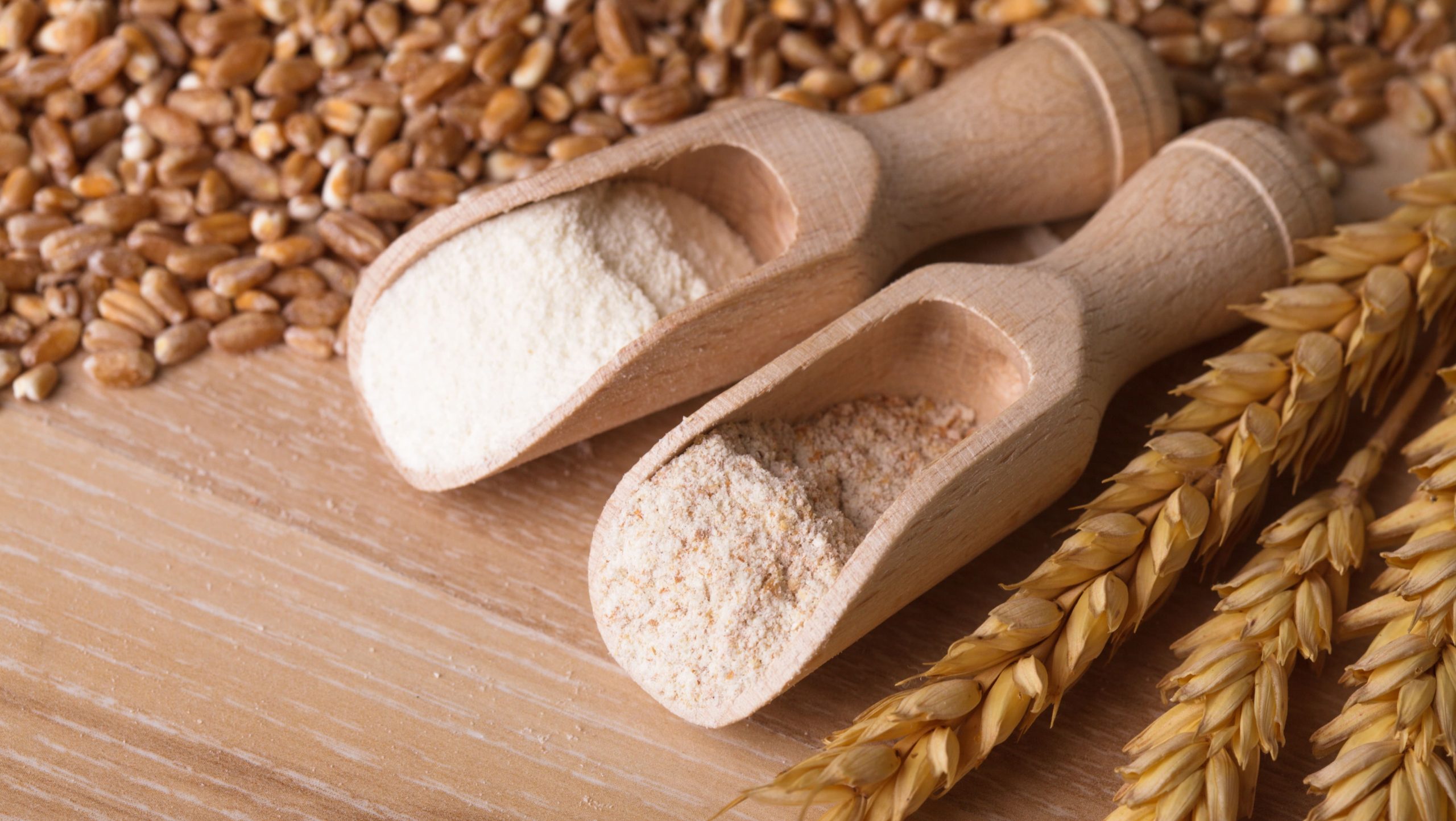 Conoscenza e rigore scientifico per contrastare le informazioni errate