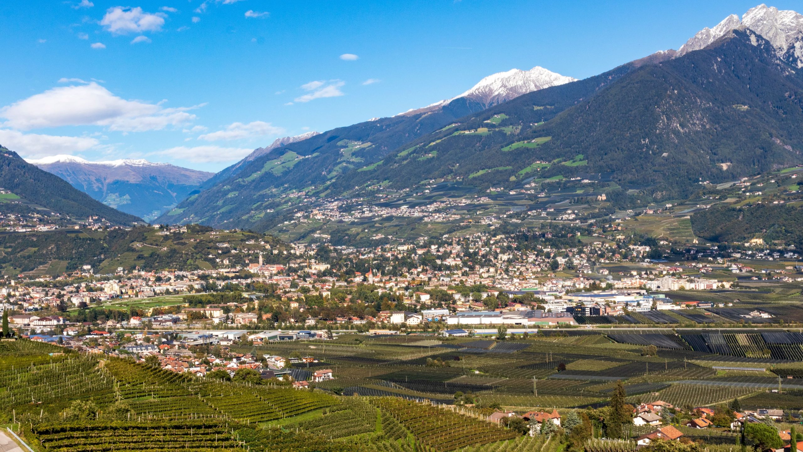 Una capacità innovativa che passa dalla sostenibilità