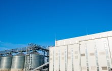 2023 difficile. Ma il molitorio, soprattutto all’export, si è difeso