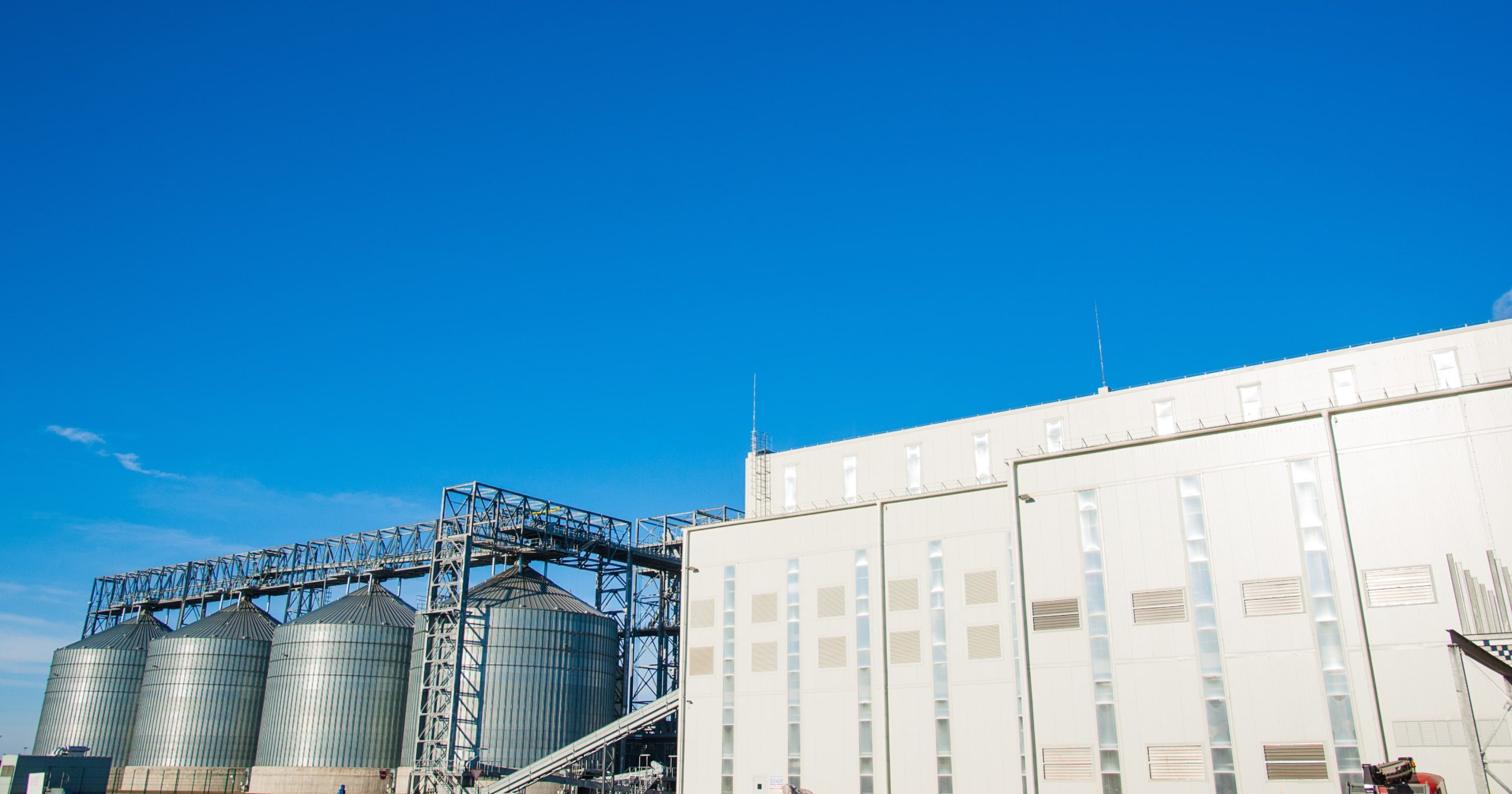 2023 difficile. Ma il molitorio, soprattutto all’export, si è difeso