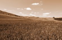 La necessità di un contante dialogo  tra gli attori della filiera