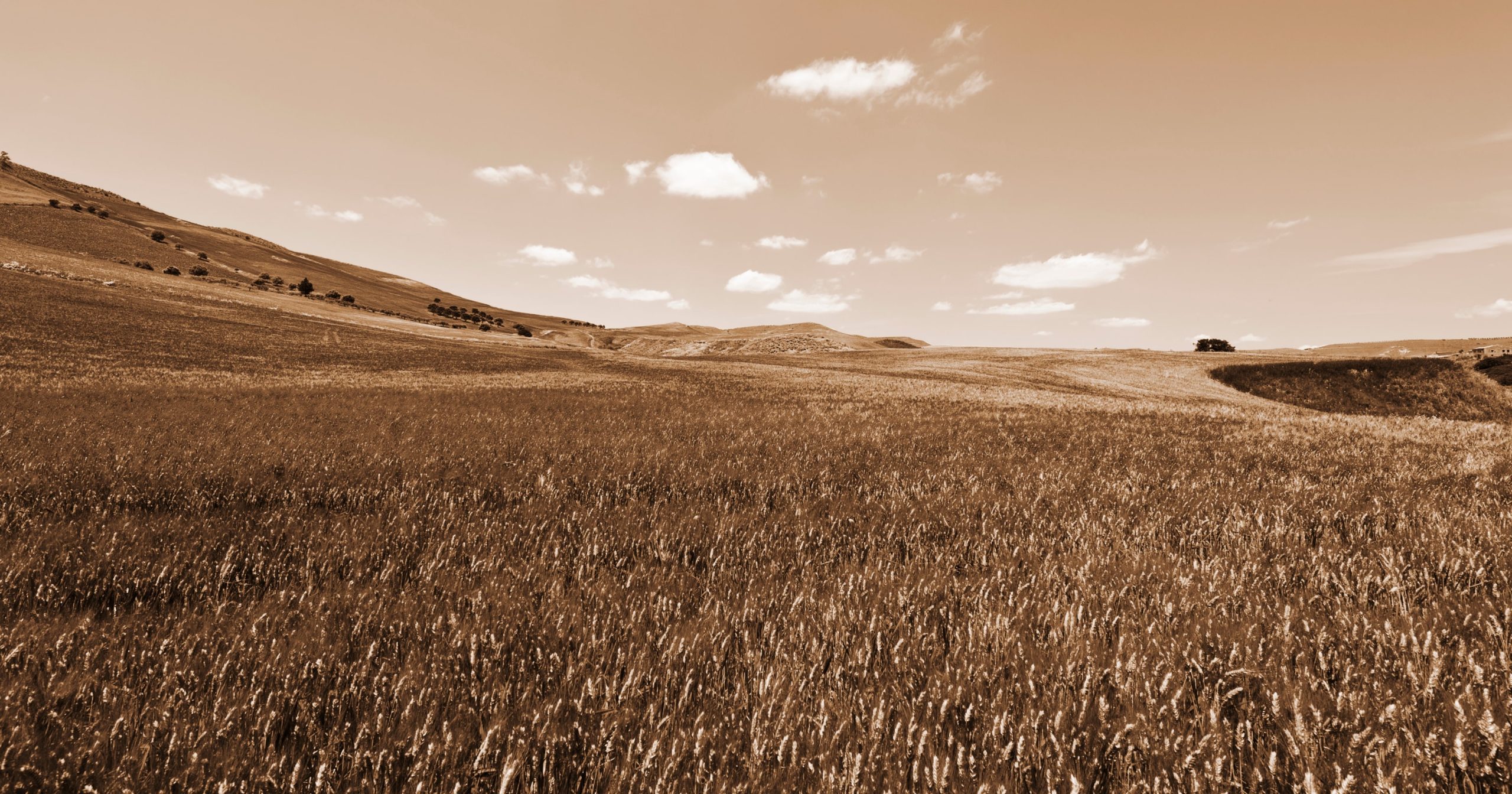 La necessità di un contante dialogo  tra gli attori della filiera