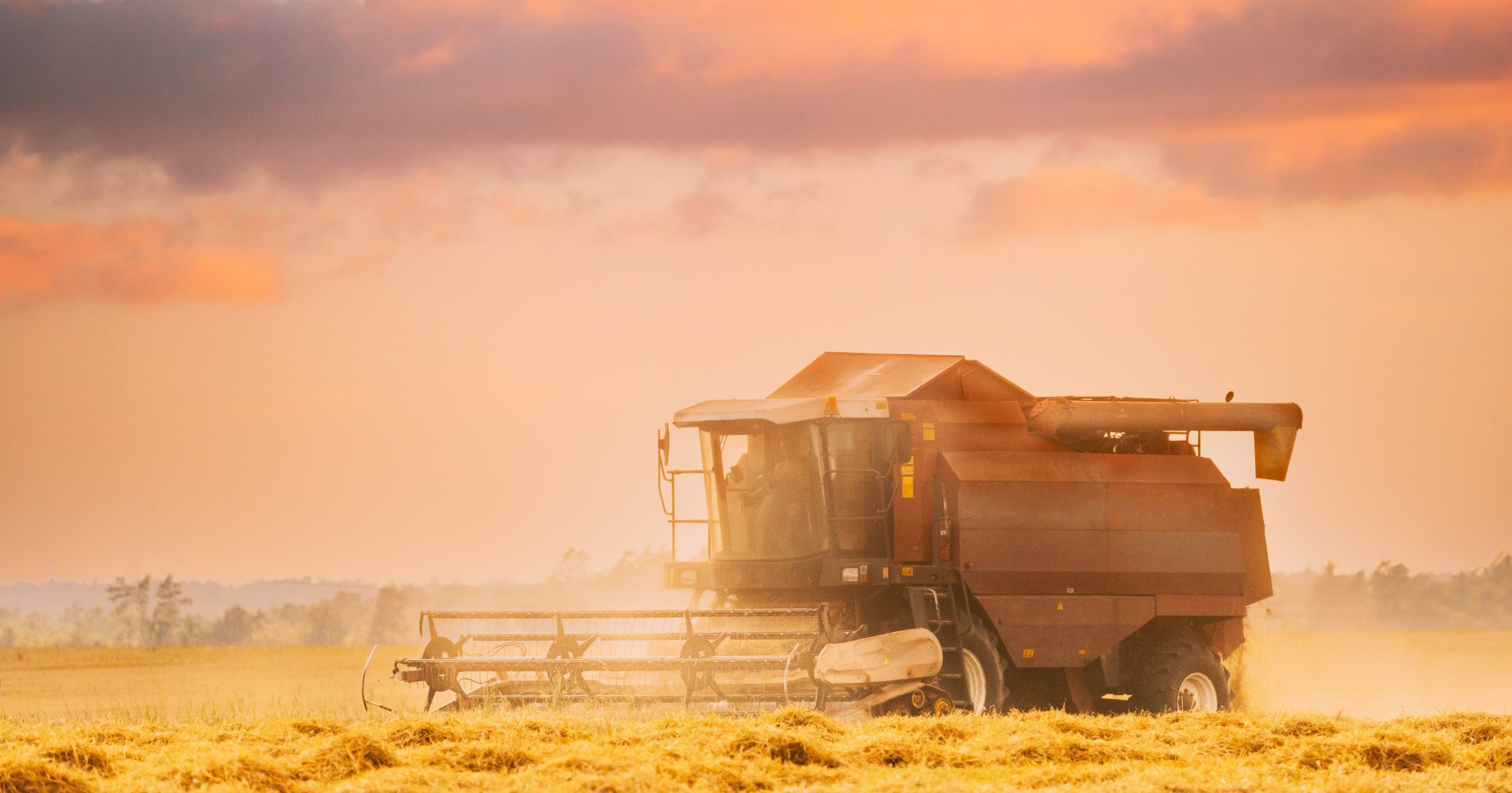 Considerazioni sulla qualità del frumento duro. Aggiornamenti