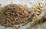 Chi stabilisce i costi di produzione?