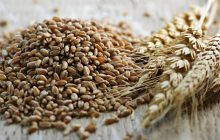 Chi stabilisce i costi di produzione?