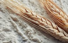 Metodi di analisi  per determinare la qualità dei cereali