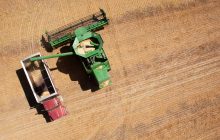 L’impegno di Italmopa  per il “nuovo” registro telematico dei cerali