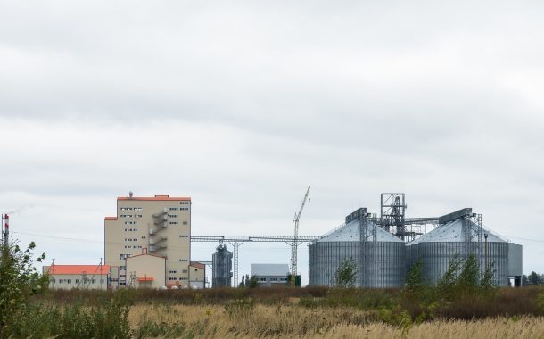 Il molitorio cresce in un anomalo 2024