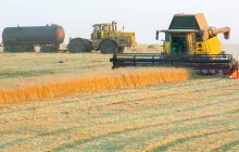 Alimentare e molitorio: crescita e solidità al top, ma non la redditività