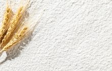 Mulino Caputo apre al pubblico la mostra 